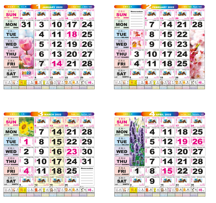 Long Racing Horse | Diary Catalogue